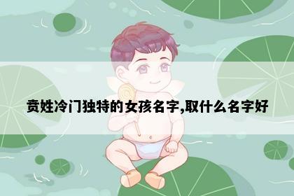 贲姓冷门独特的女孩名字,取什么名字好