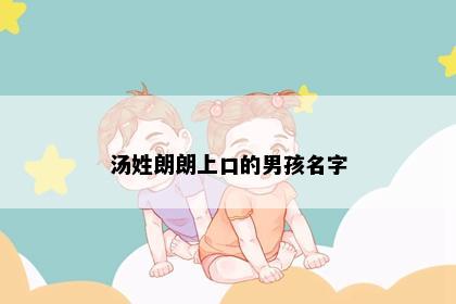 汤姓朗朗上口的男孩名字