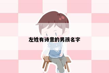 左姓有诗意的男孩名字