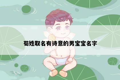 荀姓取名有诗意的男宝宝名字
