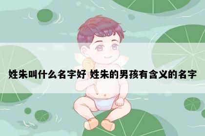 姓朱叫什么名字好 姓朱的男孩有含义的名字